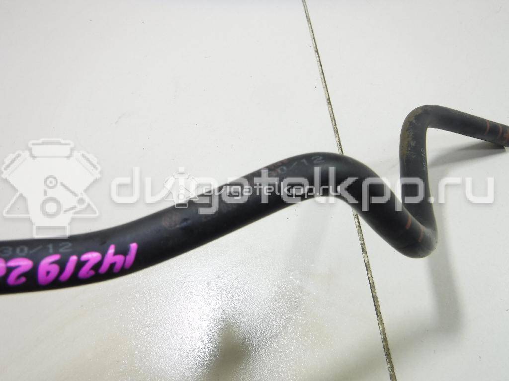 Фото Шланг топливный для двигателя BTS для Volkswagen / Skoda / Seat 105 л.с 16V 1.6 л бензин 036133514E {forloop.counter}}