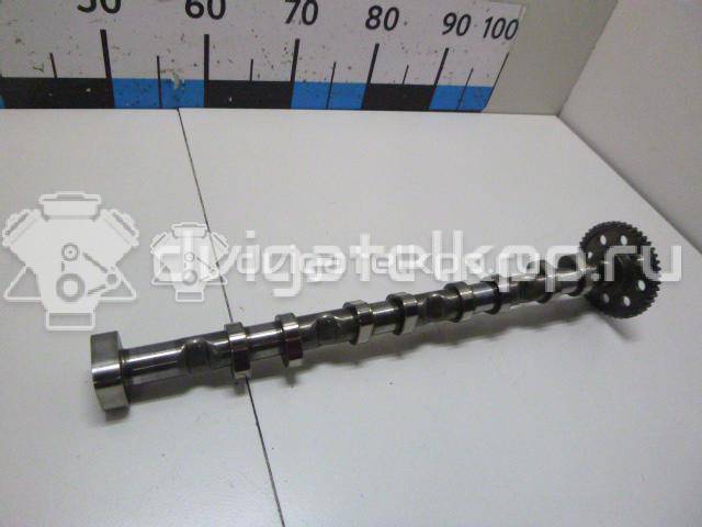 Фото Распредвал выпускной  06H109022BB для audi A3 [8PA] Sportback {forloop.counter}}
