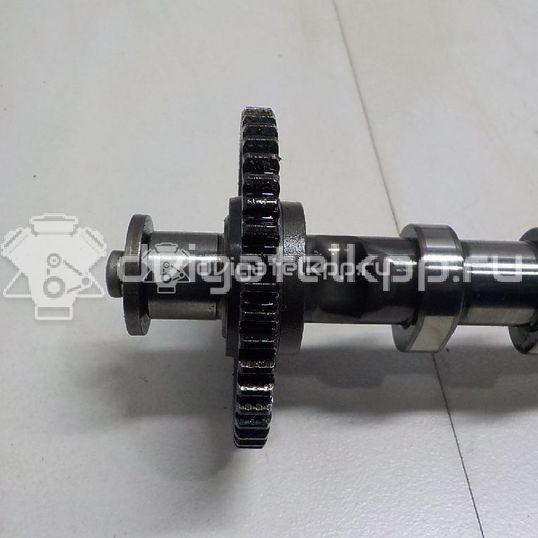 Фото Распредвал выпускной  06H109022BB для audi A3 [8PA] Sportback