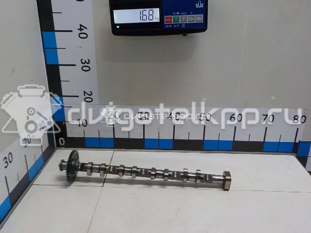 Фото Распредвал выпускной  06H109022BB для audi A3 [8PA] Sportback {forloop.counter}}