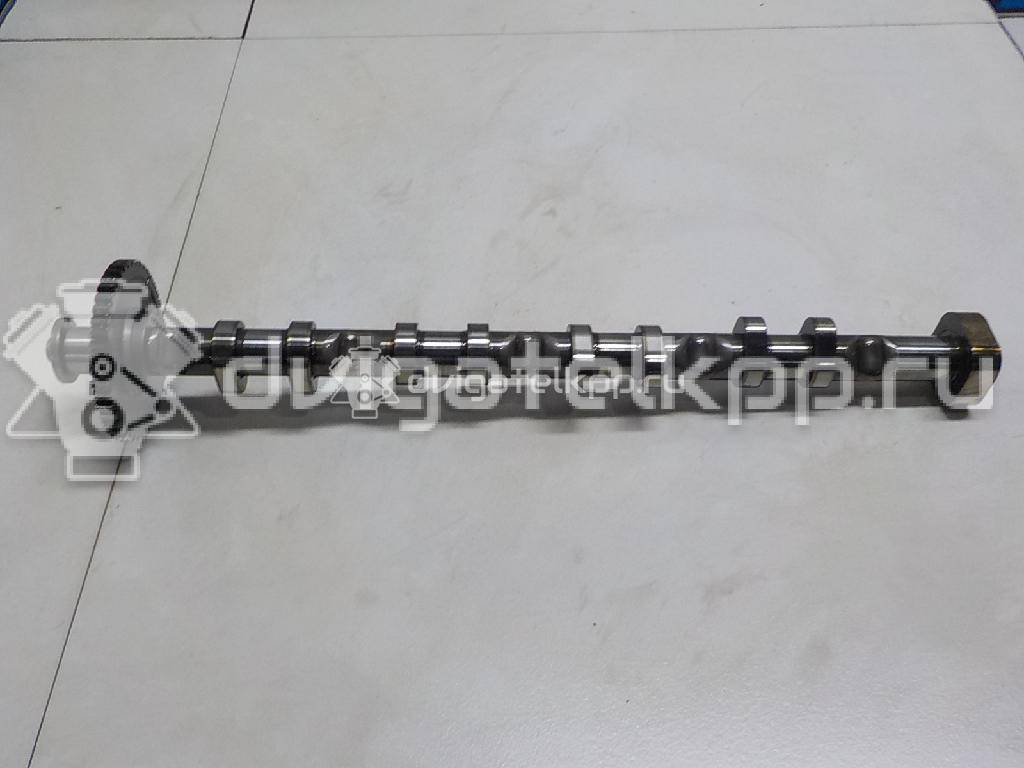 Фото Распредвал выпускной  06H109022BB для audi A3 [8PA] Sportback {forloop.counter}}