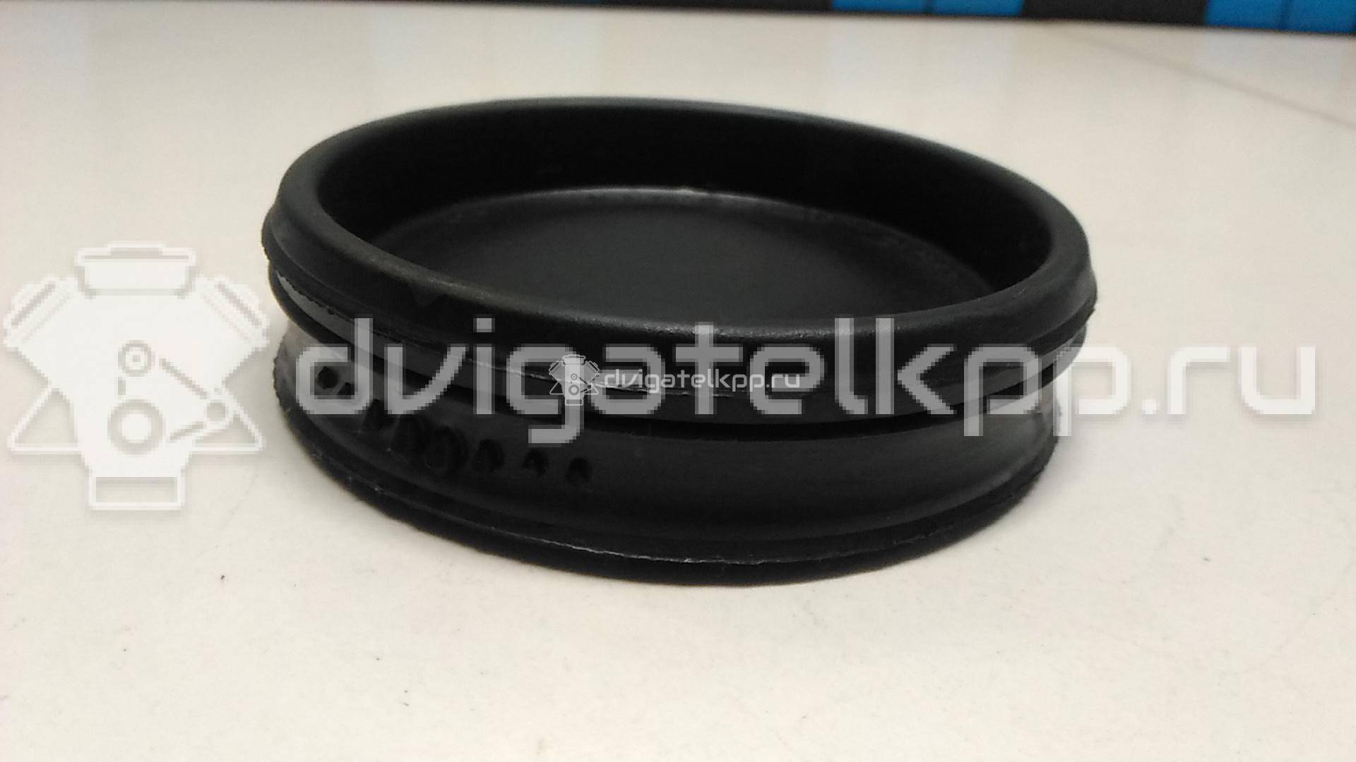 Фото Крышка коленвала передняя  038105278A для audi A3 [8PA] Sportback {forloop.counter}}