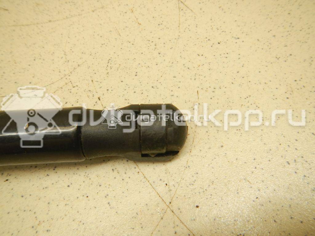 Фото Амортизатор капота  8V0823359A для Audi A3 {forloop.counter}}