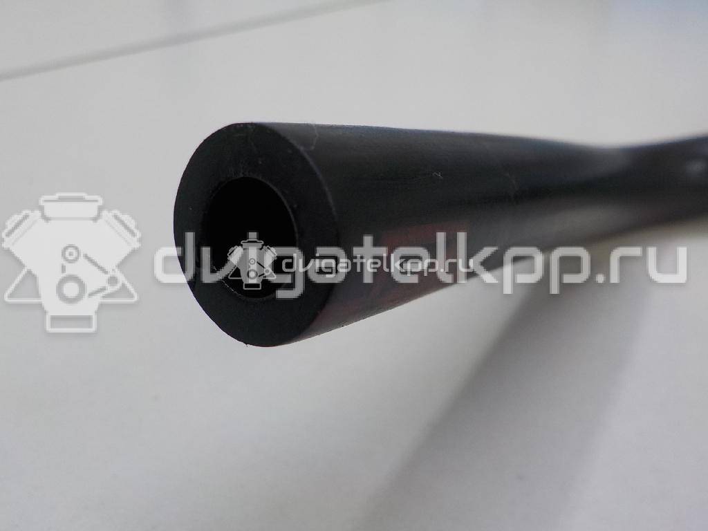 Фото Шланг топливный для двигателя CFNA для Skoda / Volkswagen 105 л.с 16V 1.6 л бензин 036133514E {forloop.counter}}