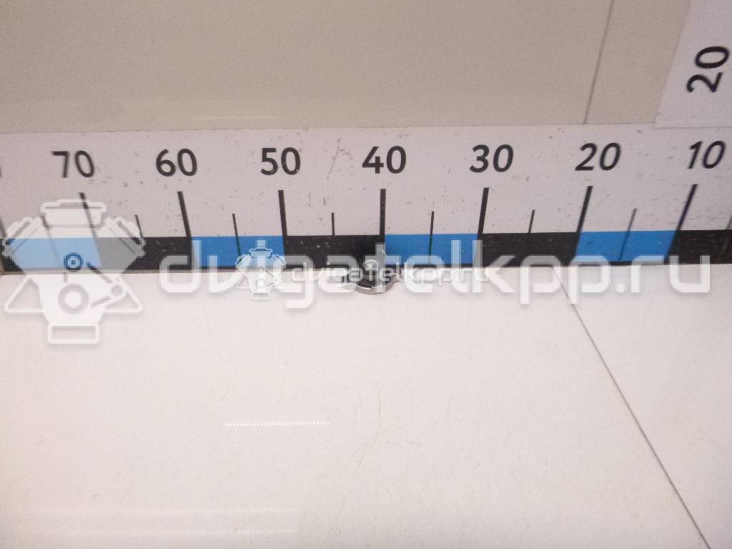 Фото Крышка радиатора  253301H100 для hyundai Accent II (+ТАГАЗ) {forloop.counter}}