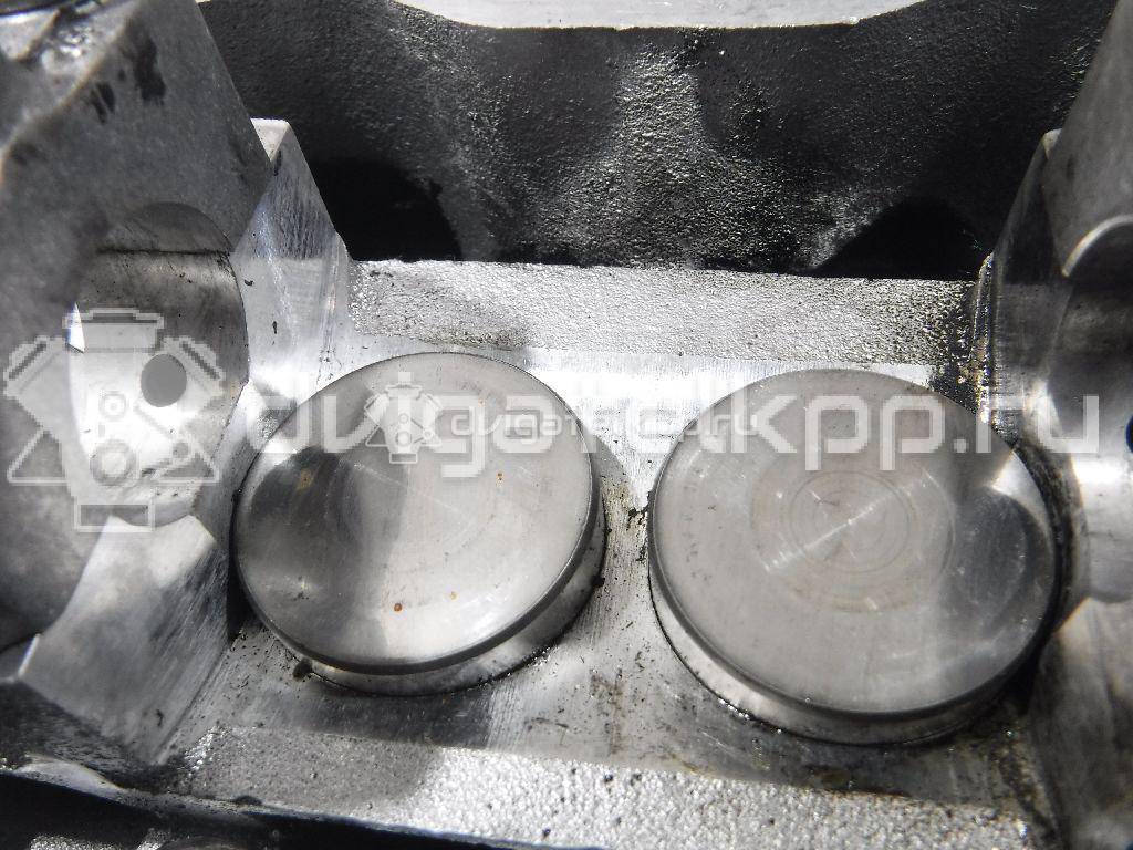 Фото Головка блока для двигателя AVG для Volkswagen Sharan / Golf 110 л.с 8V 1.9 л Дизельное топливо 028103351P {forloop.counter}}