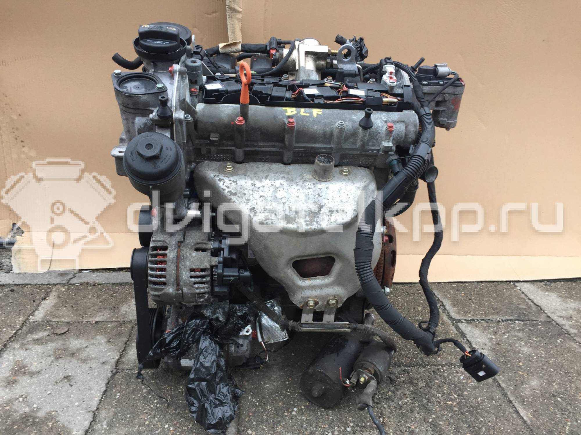 Фото Контрактный (б/у) двигатель BLF для Volkswagen Passat / Eos 1F7, 1F8 / Jetta / Golf 115 л.с 16V 1.6 л бензин {forloop.counter}}