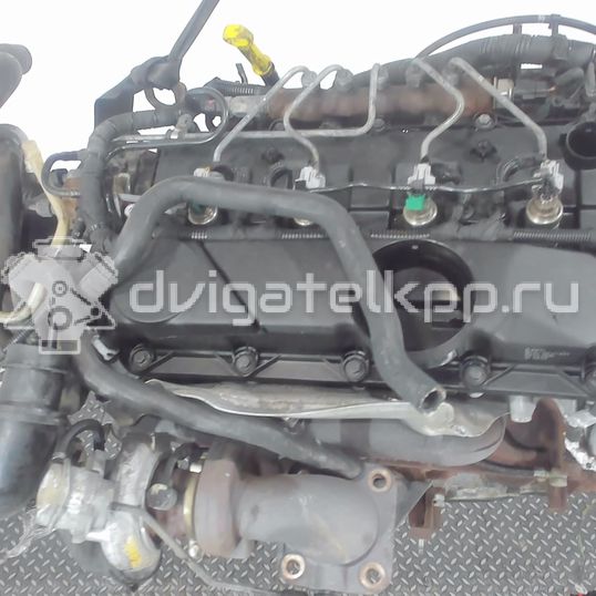 Фото Контрактный (б/у) двигатель P8FB для Ford Transit 85 л.с 16V 2.2 л Дизельное топливо