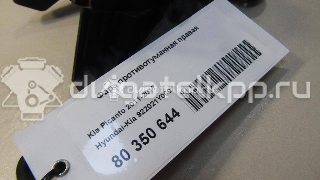 Фото Фара противотуманная правая  922021Y000 для Kia Picanto {forloop.counter}}