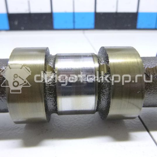 Фото Распредвал выпускной  1141202 для Ford Fiesta / Focus / Ka / Fusion Ju