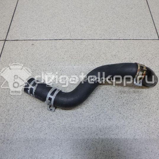 Фото Патрубок  1317039 для Ford Focus / C-Max