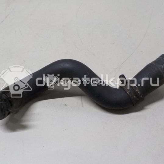 Фото Патрубок  1317039 для Ford Focus / C-Max