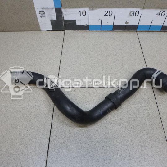 Фото Патрубок радиатора  1520851 для Ford Focus / C-Max