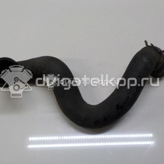 Фото Патрубок радиатора  1384145 для Ford Focus / C-Max