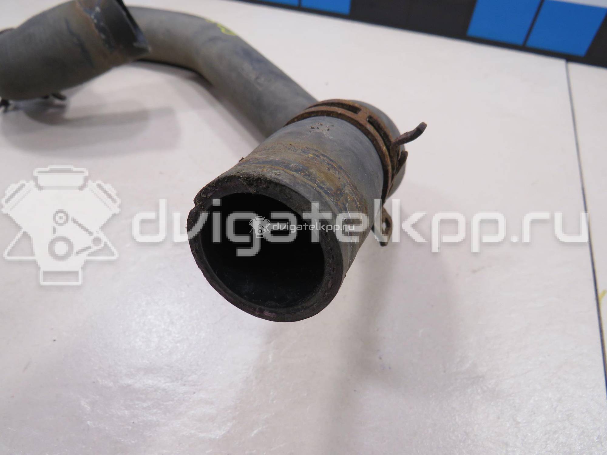 Фото Патрубок радиатора  1384148 для Ford Focus / C-Max {forloop.counter}}
