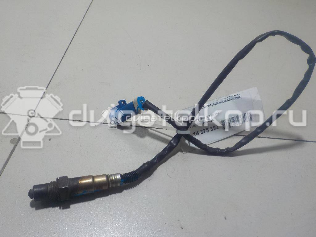 Фото Датчик кислородный/Lambdasonde  BV619G444BA для Ford Fiesta / Focus / Tourneo / Granada / Scorpio {forloop.counter}}