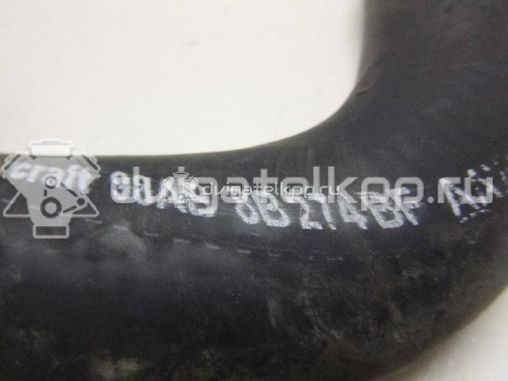 Фото Патрубок радиатора  98AB8B274BF для Ford Focus {forloop.counter}}