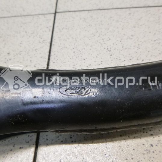 Фото Рычаг задний поперечный  1752565 для Ford Focus / Kuga / C-Max