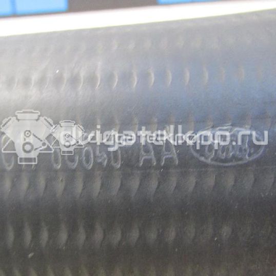 Фото Патрубок интеркулера  4655362 для Ford Transit