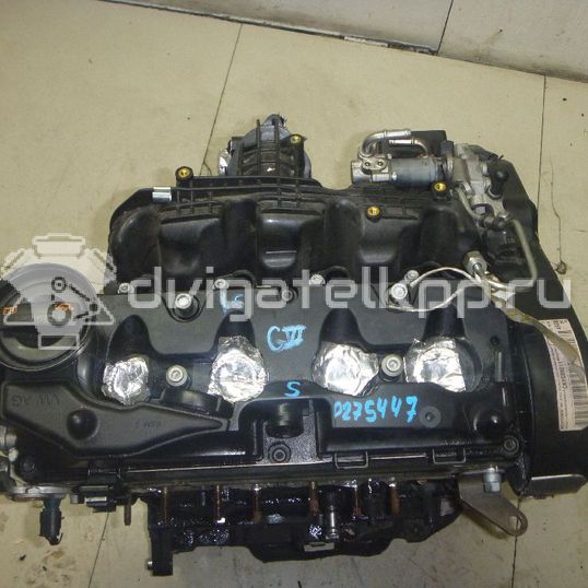 Фото Контрактный (б/у) двигатель CAYC для Volkswagen Touran / Golf / Passat / Beetle / Jetta 105 л.с 16V 1.6 л Дизельное топливо 03L100036K