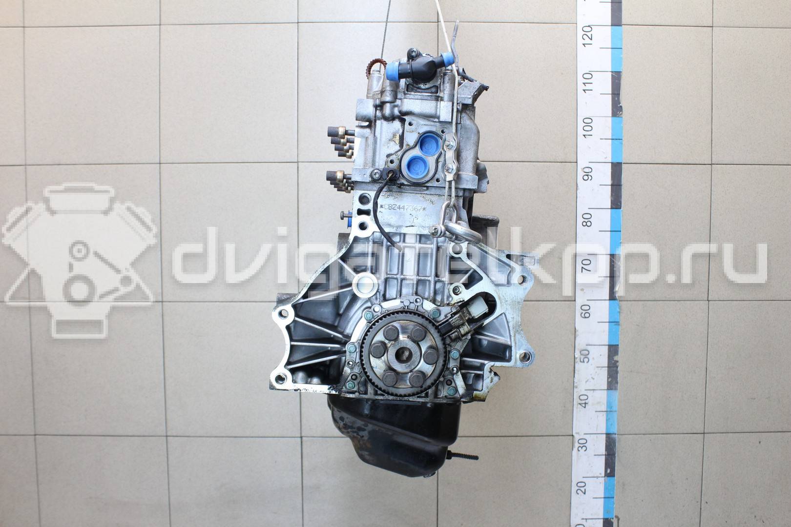 Фото Контрактный (б/у) двигатель CBZA для Volkswagen / Skoda 86 л.с 8V 1.2 л бензин 03F100031FX {forloop.counter}}