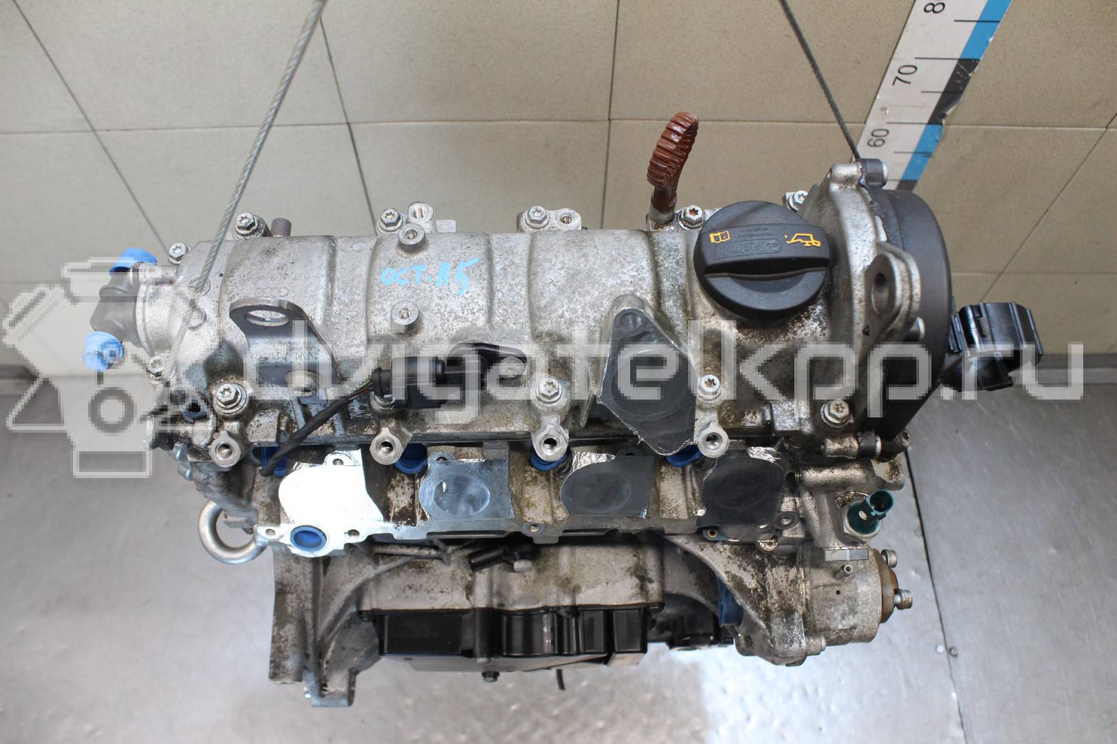 Фото Контрактный (б/у) двигатель CBZB для Skoda / Volkswagen 105 л.с 8V 1.2 л бензин 03F100031FX {forloop.counter}}
