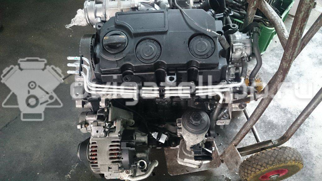 Фото Контрактный (б/у) двигатель BMM для Audi A3 140 л.с 8V 2.0 л Дизельное топливо {forloop.counter}}