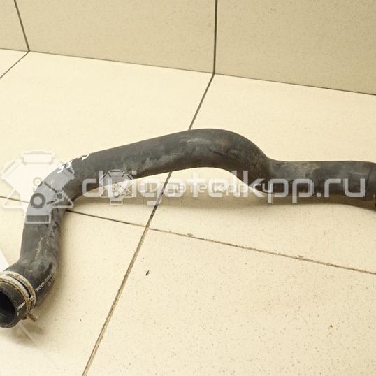 Фото Патрубок радиатора  1371293 для Ford Transit