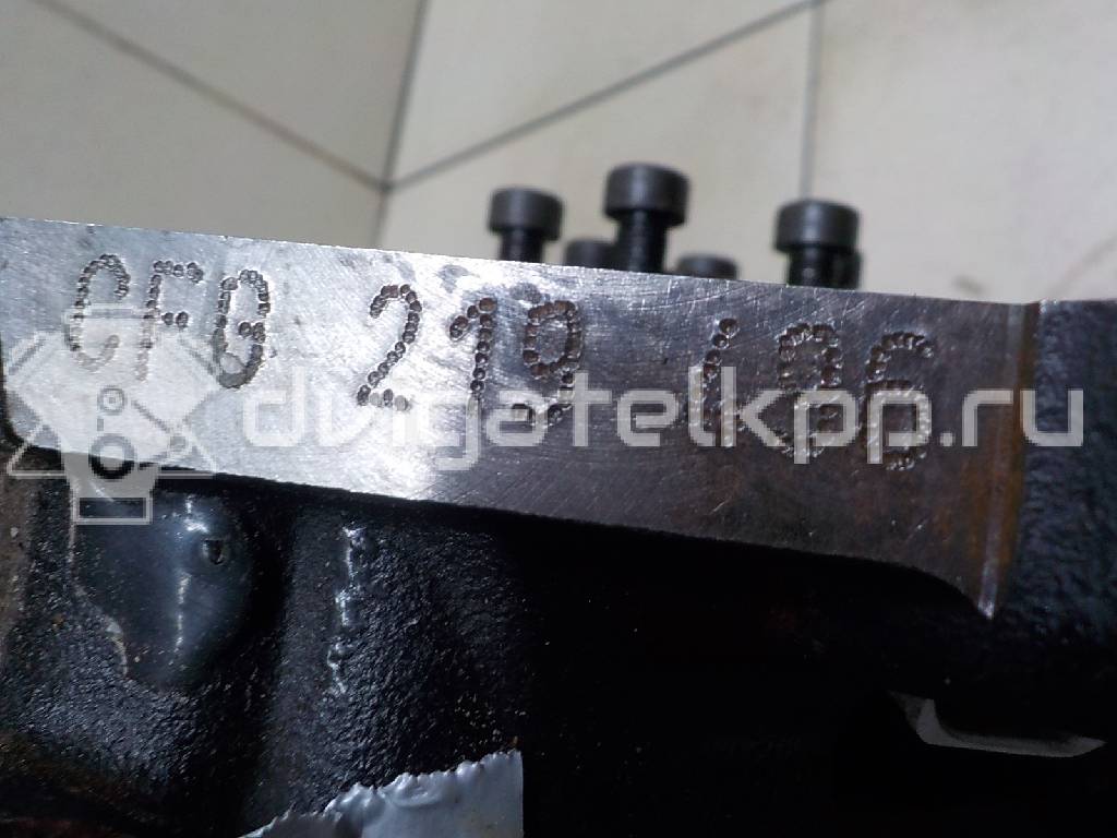 Фото Контрактный (б/у) двигатель CFFA для Volkswagen / Audi / Seat 136 л.с 16V 2.0 л Дизельное топливо 03L100090J {forloop.counter}}