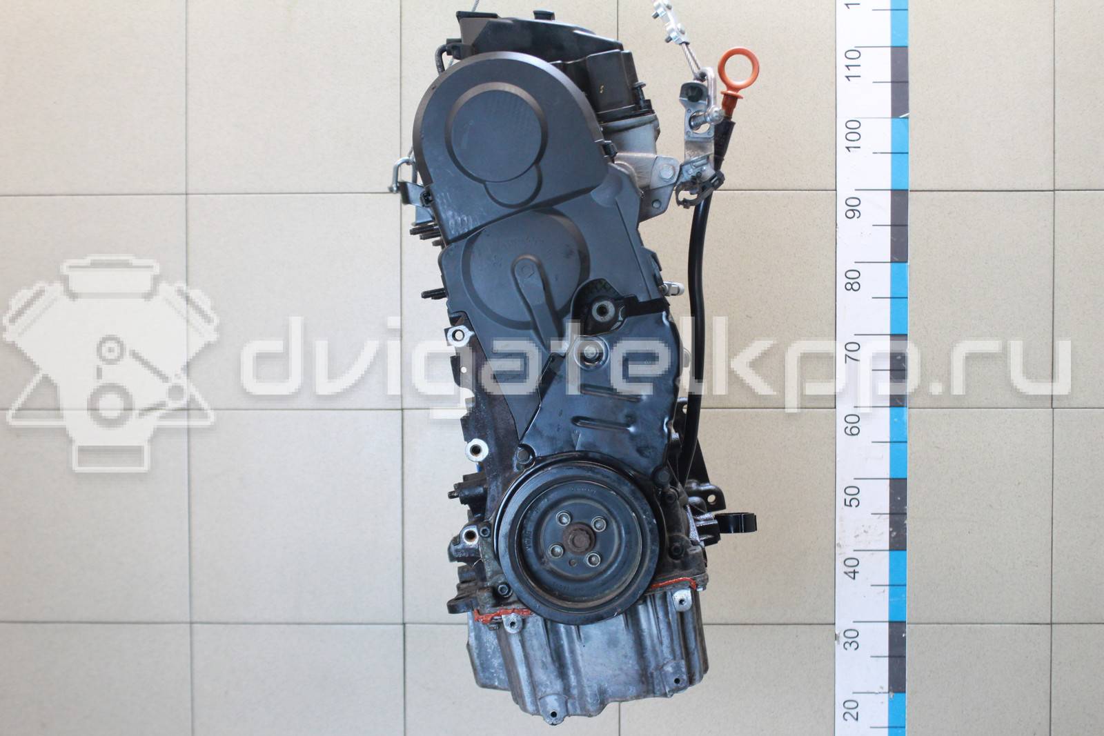 Фото Контрактный (б/у) двигатель BMP для Volkswagen Passat 140 л.с 8V 2.0 л Дизельное топливо 03G100098DX {forloop.counter}}