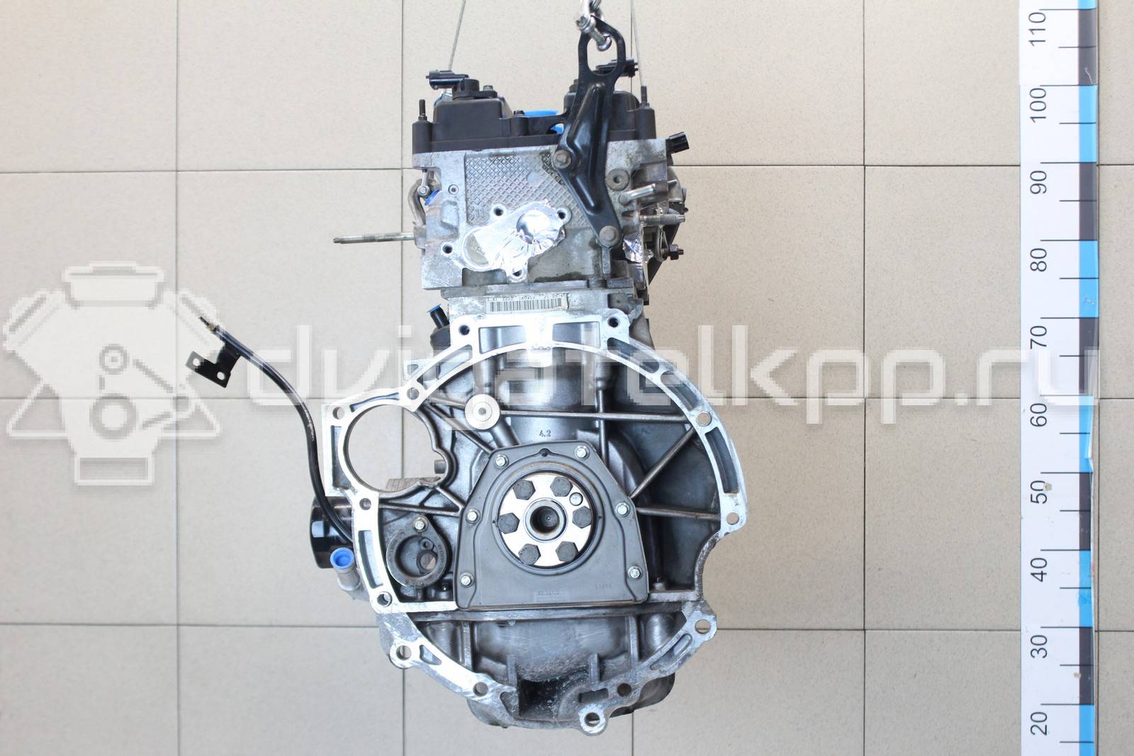 Фото Контрактный (б/у) двигатель IQDB для Ford Focus / C-Max / Grand 105 л.с 16V 1.6 л бензин 1752082 {forloop.counter}}