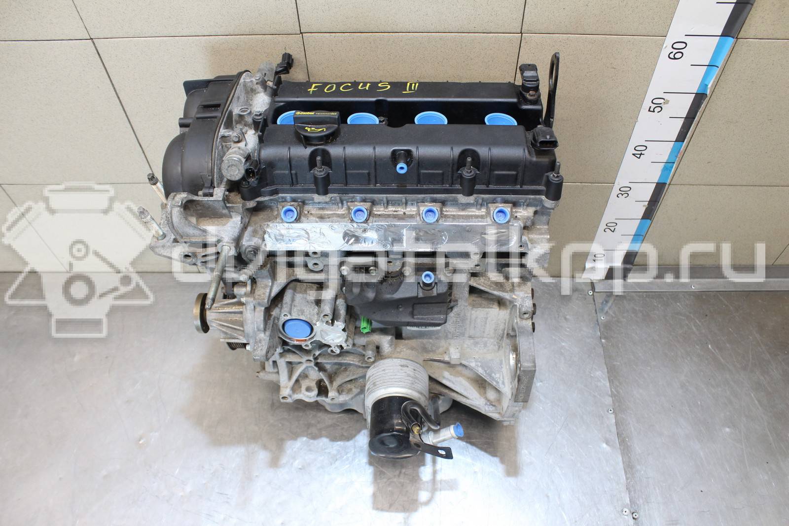 Фото Контрактный (б/у) двигатель IQDB для Ford Focus / C-Max / Grand 105 л.с 16V 1.6 л бензин 1752082 {forloop.counter}}