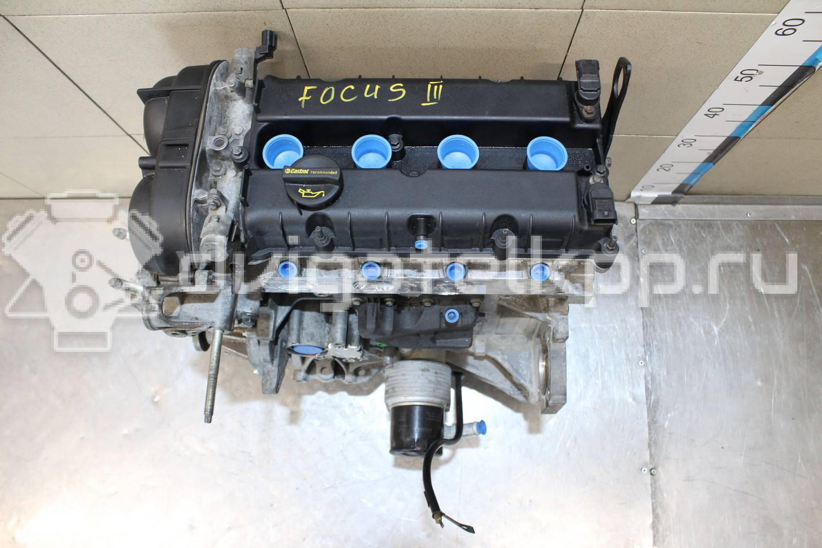Фото Контрактный (б/у) двигатель IQDB для Ford Focus / C-Max / Grand 105 л.с 16V 1.6 л бензин 1752082 {forloop.counter}}