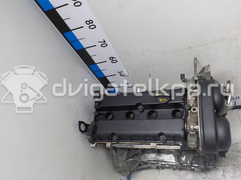 Фото Контрактный (б/у) двигатель PNDA для Ford / Ford Australia 125 л.с 16V 1.6 л бензин 1752082 {forloop.counter}}