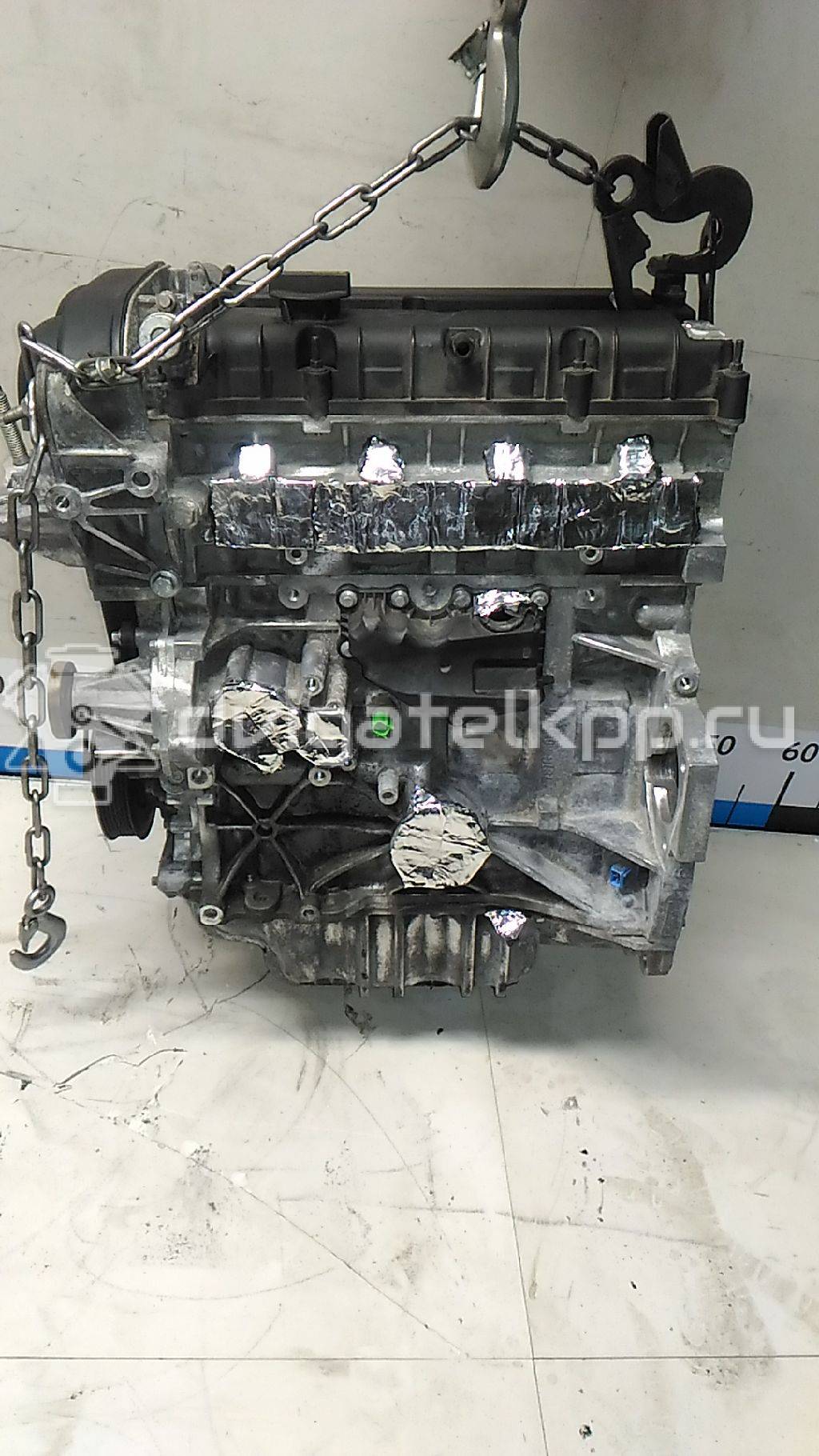 Фото Контрактный (б/у) двигатель PNDA для Ford / Ford Australia 125 л.с 16V 1.6 л бензин 1752082 {forloop.counter}}