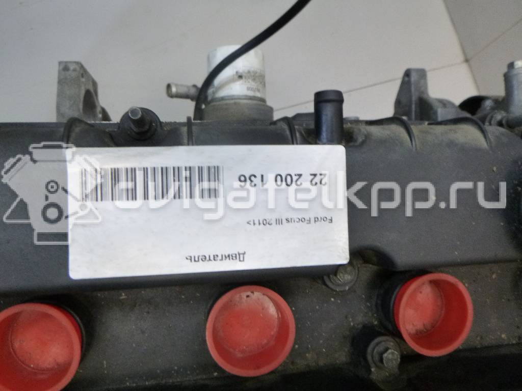 Фото Контрактный (б/у) двигатель PNDA для Ford / Ford Australia 125 л.с 16V 1.6 л бензин 1752082 {forloop.counter}}