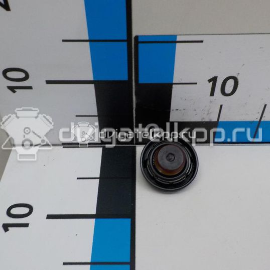 Фото Крышка маслозаливной горловины  2651026600 для Hyundai I20 / Getz Tb