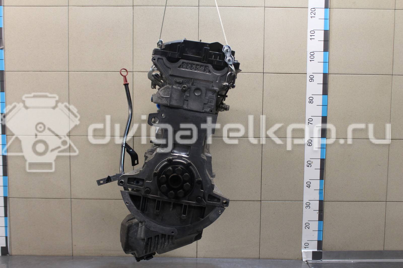 Фото Контрактный (б/у) двигатель M54 B22 (226S1) для Bmw 5 / Z4 / Z3 E36 / 3 163-170 л.с 24V 2.2 л бензин 11007506905 {forloop.counter}}