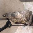 Фото Контрактный (б/у) двигатель M 266.940 (M266 E17) для Mercedes-Benz B-Class / A-Class 116 л.с 8V 1.7 л бензин 2660100200 {forloop.counter}}