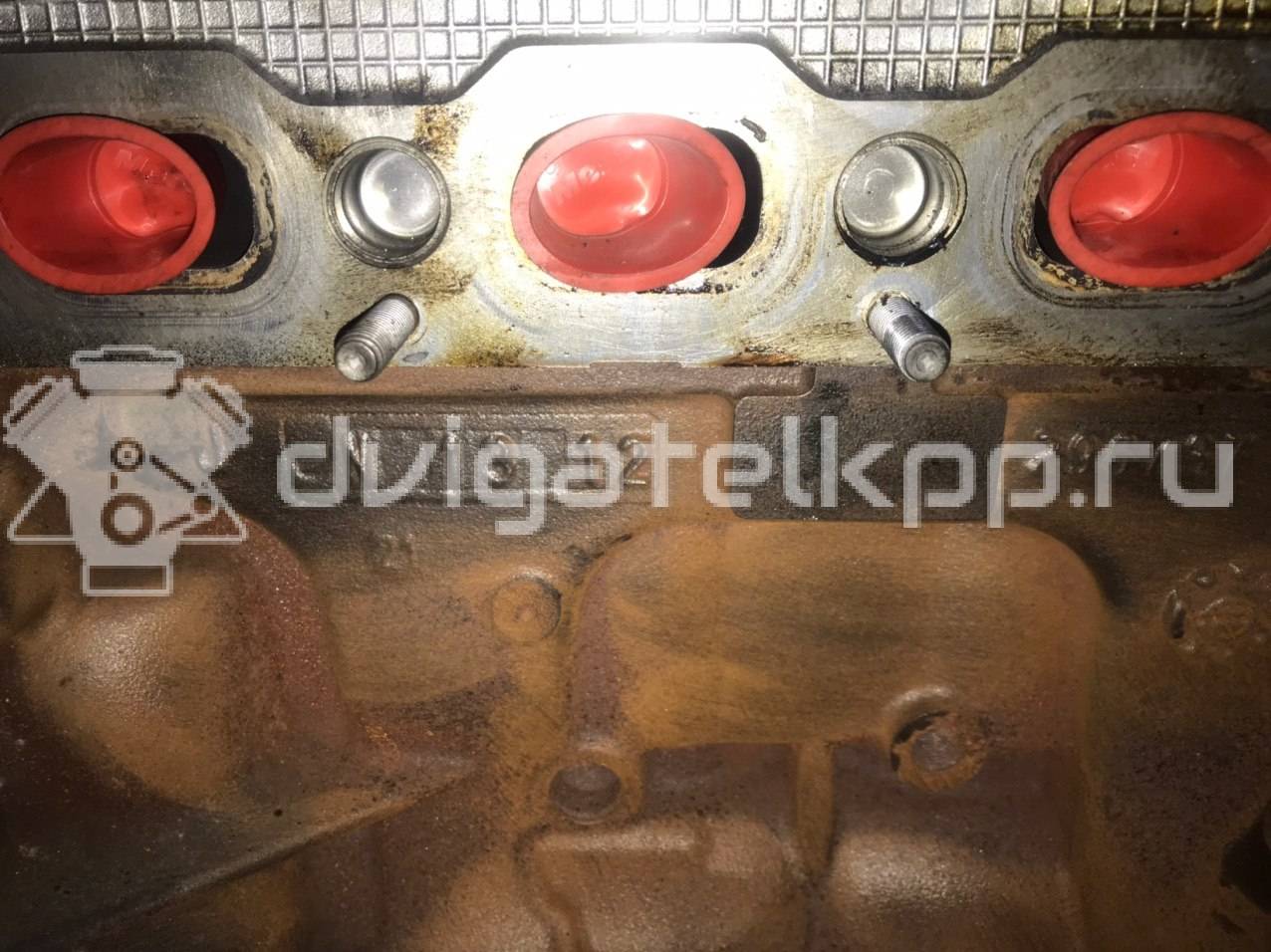 Фото Контрактный (б/у) двигатель K4M 824 для Renault Laguna 110 л.с 16V 1.6 л бензин 8201092083 {forloop.counter}}