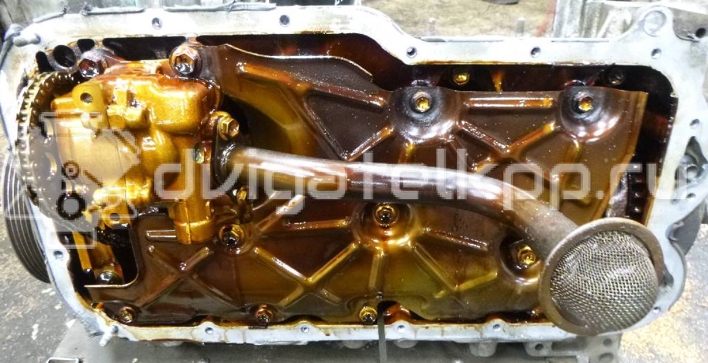 Фото Контрактный (б/у) двигатель J20A для Maruti Suzuki / Suzuki / Chevrolet / Geo / Maruti 120-129 л.с 16V 2.0 л бензин {forloop.counter}}