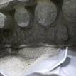 Фото Контрактный (б/у) двигатель BSE для Audi / Seat 102 л.с 8V 1.6 л бензин 06A100043P {forloop.counter}}