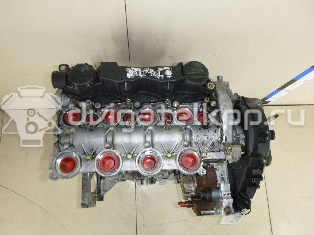 Фото Контрактный (б/у) двигатель G8DA для Ford Focus 109 л.с 16V 1.6 л Дизельное топливо 1679684 {forloop.counter}}