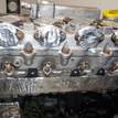 Фото Контрактный (б/у) двигатель Z 17 DTH для Opel / Vauxhall 100 л.с 16V 1.7 л Дизельное топливо {forloop.counter}}