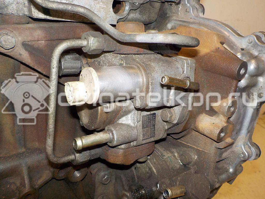 Фото Контрактный (б/у) двигатель YD25DDTi для Nissan Cabstar / Navara / Np300 / Pathfinder / Pick Up 100-190 л.с 16V 2.5 л Дизельное топливо {forloop.counter}}