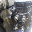 Фото Контрактный (б/у) двигатель YD22DDT для Nissan Primera / Almera 110-139 л.с 16V 2.2 л Дизельное топливо {forloop.counter}}