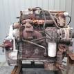 Фото Контрактный (б/у) двигатель F4AE0481C для Iveco Eurofire / Eurocargo 149 л.с 16V 3.9 л Дизельное топливо 504032460 {forloop.counter}}