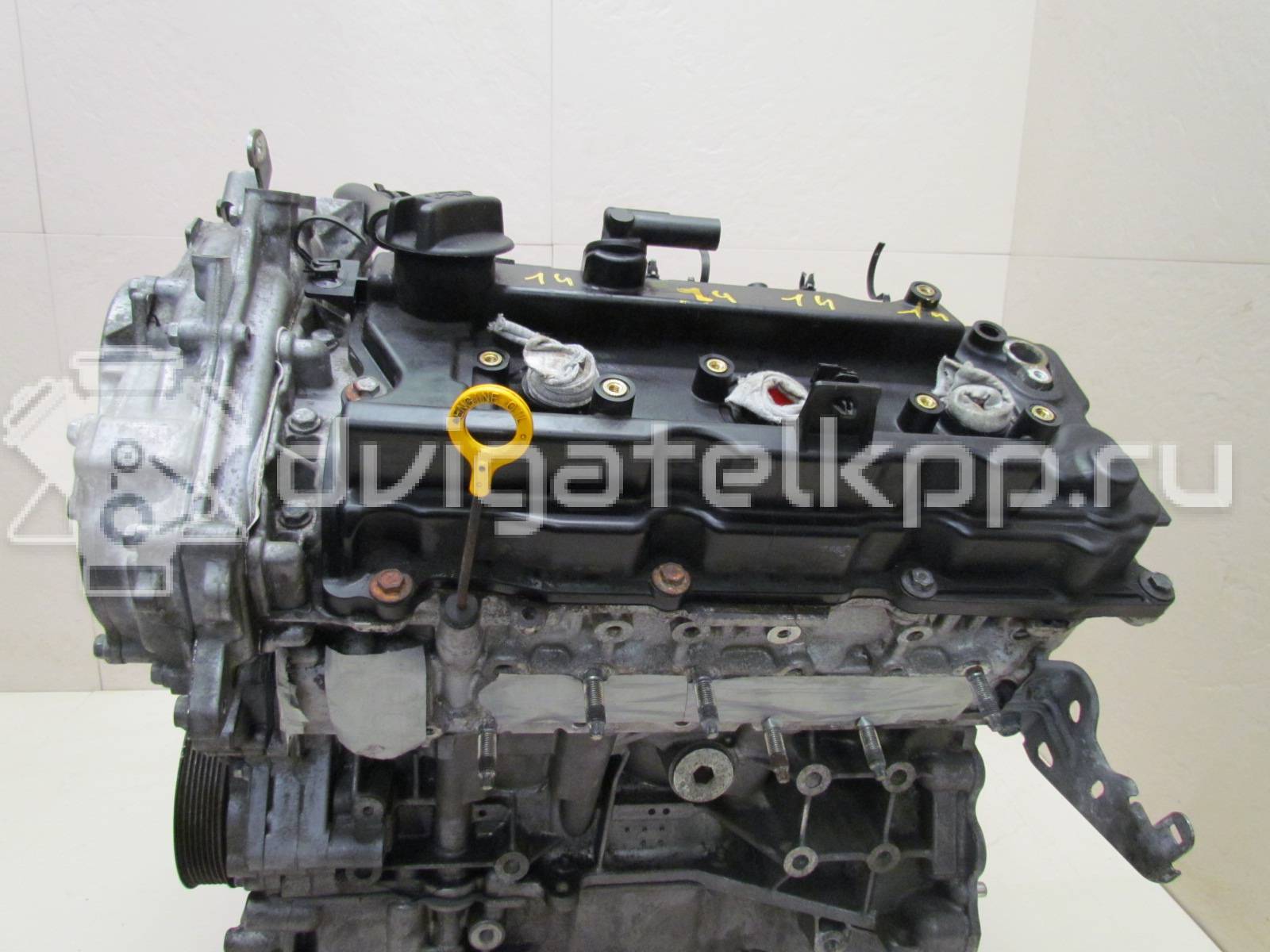 Фото Контрактный (б/у) двигатель VQ35DE для Infiniti / Mitsuoka / Isuzu / Nissan / Nissan (Dongfeng) 231-310 л.с 24V 3.5 л бензин 101023nt0a {forloop.counter}}