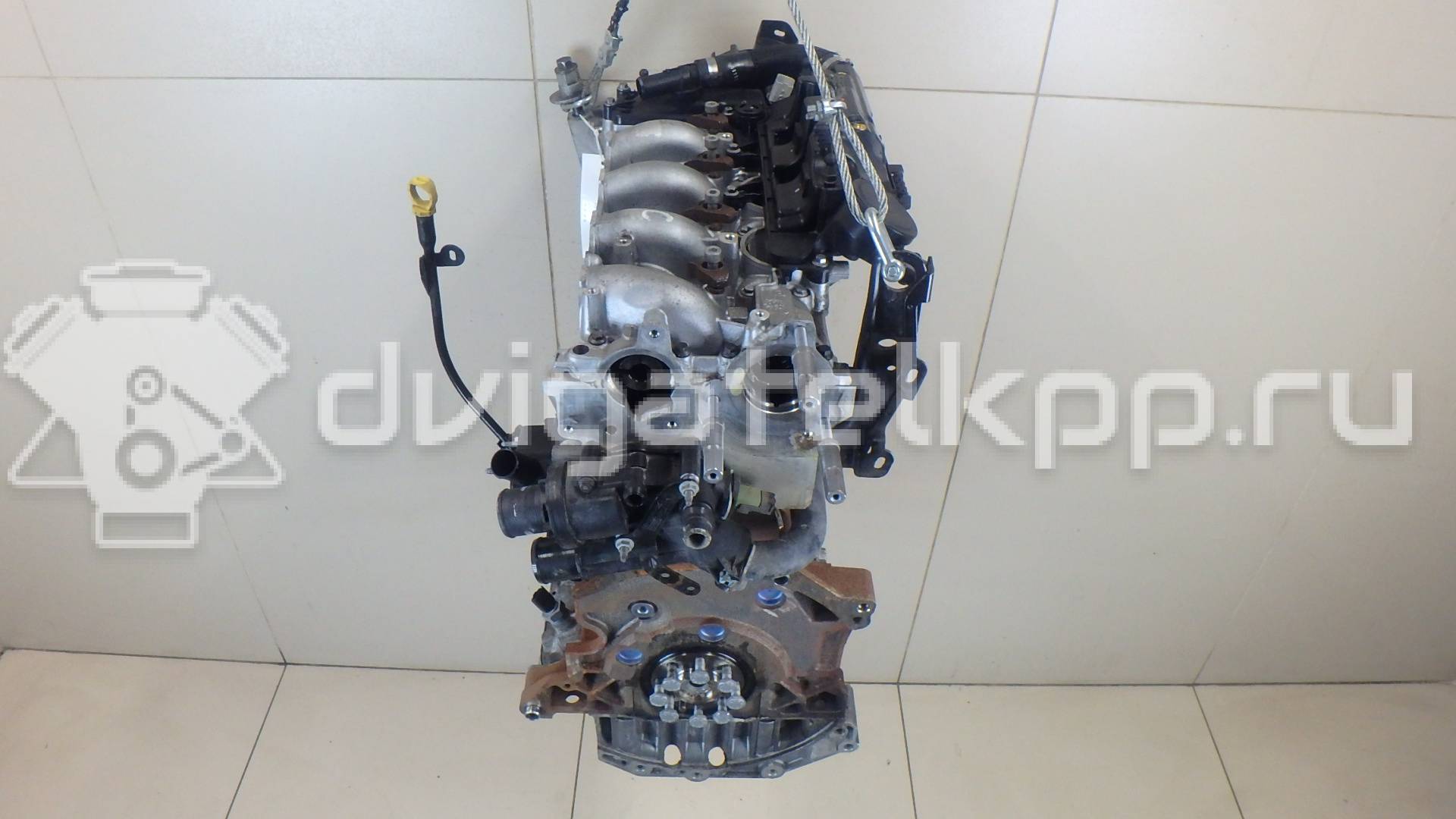 Фото Контрактный (б/у) двигатель 224DT для Land Rover Freelander / Range Rover / Discovery 150-190 л.с 16V 2.2 л Дизельное топливо LR022075 {forloop.counter}}