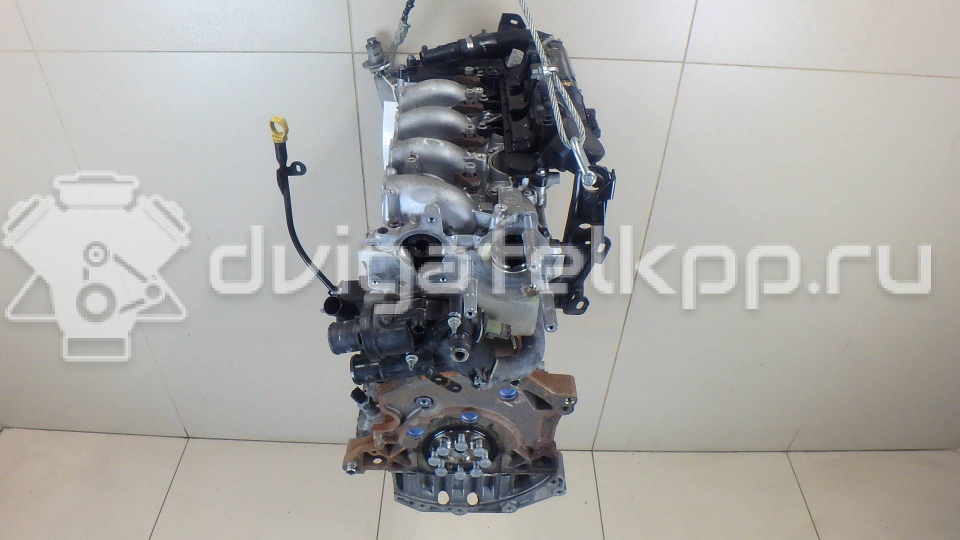 Фото Контрактный (б/у) двигатель 224DT для Jaguar / Land Rover 150-200 л.с 16V 2.2 л Дизельное топливо LR022075 {forloop.counter}}